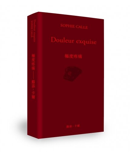 « Douleur exquise極度疼痛 » – 大家出版 « Douleur exquise極度疼痛 » – 大家出版
